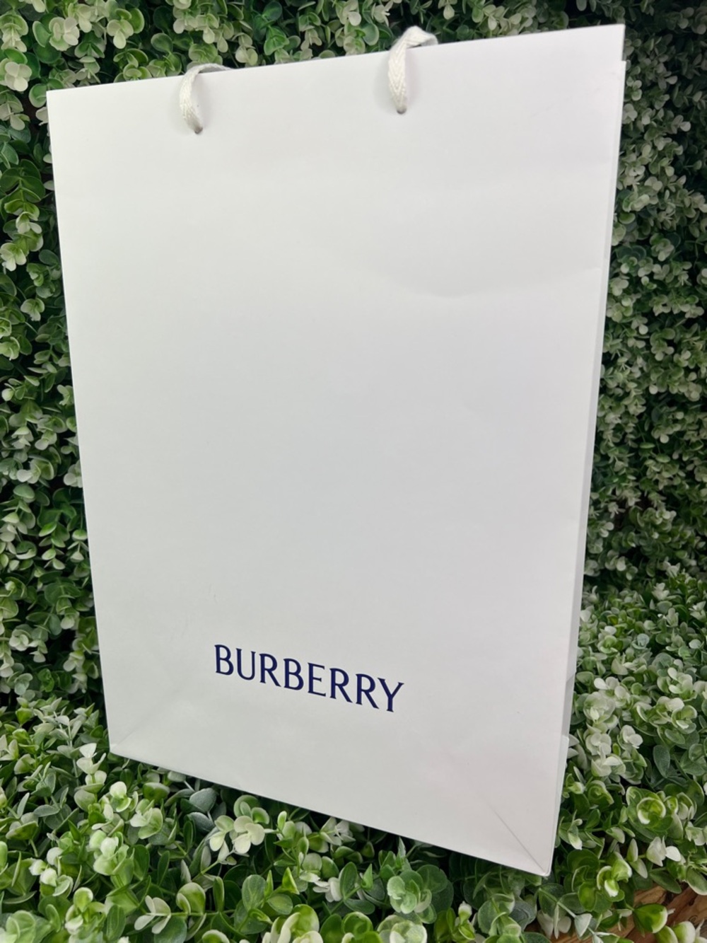 Burberry Authentic Classic Gift Bag / Shopping Bag - Picture 12 of 12
